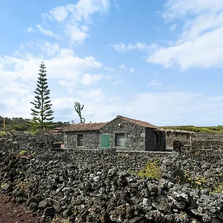 Adega Maciel * Lajido