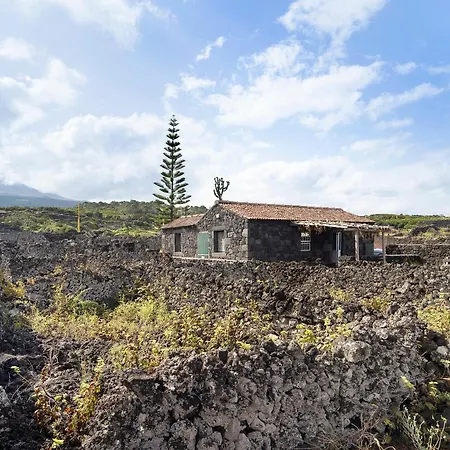 Adega Maciel Holiday home Lajido
