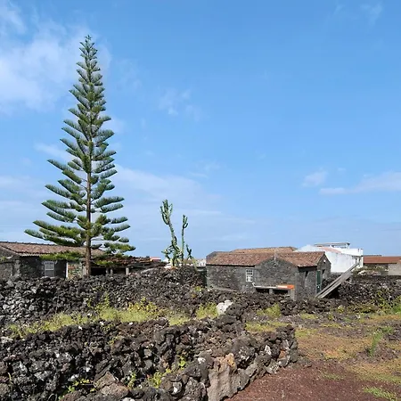 Tatil Evi Adega Maciel Lajido