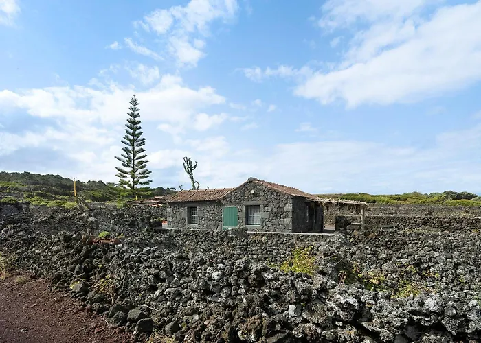 Adega Maciel * Lajido