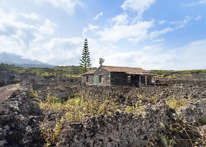 Adega Maciel Holiday home Lajido